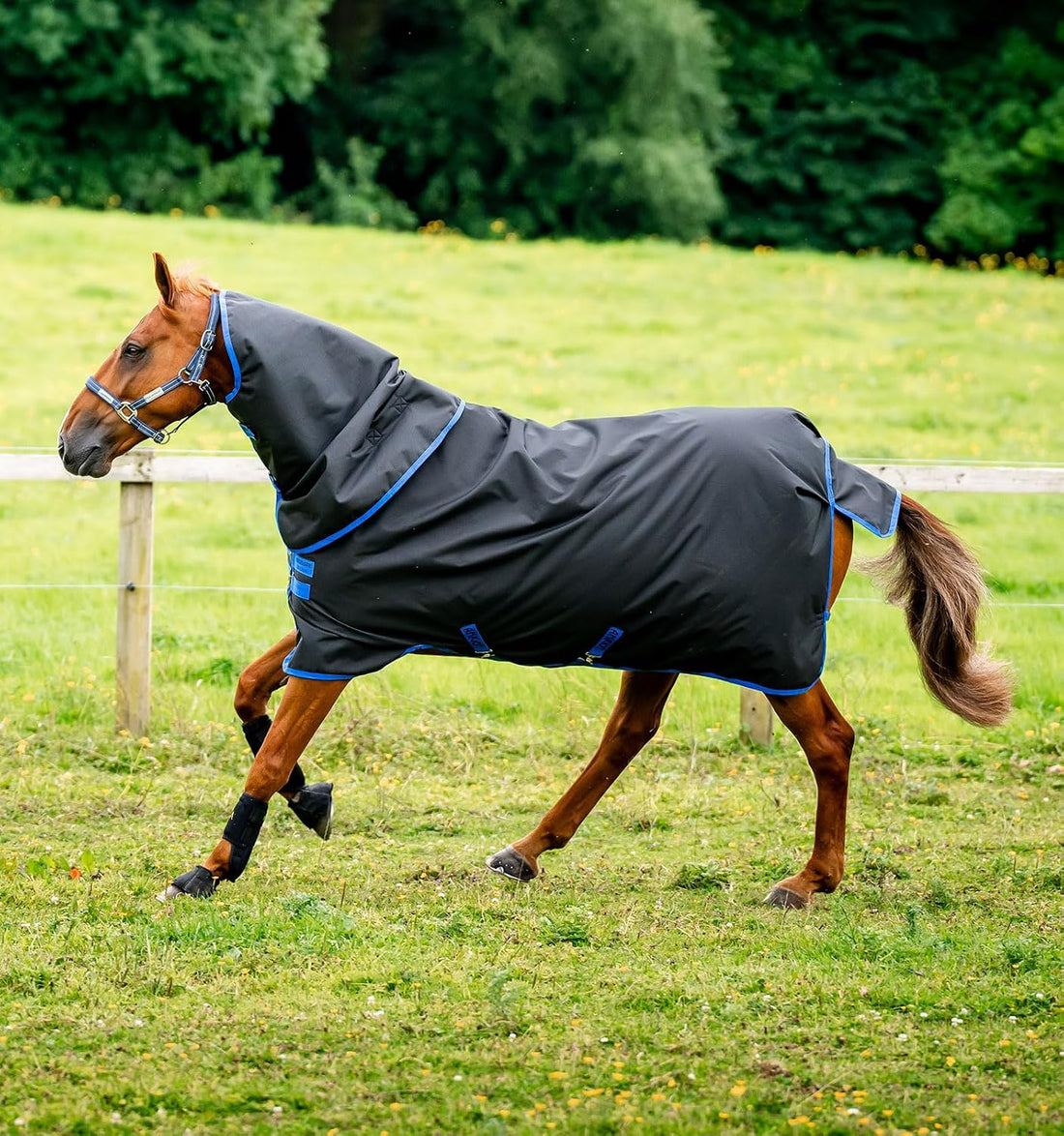 Horseware® Amigo® Ripstop 900D Plus Turnout 100g