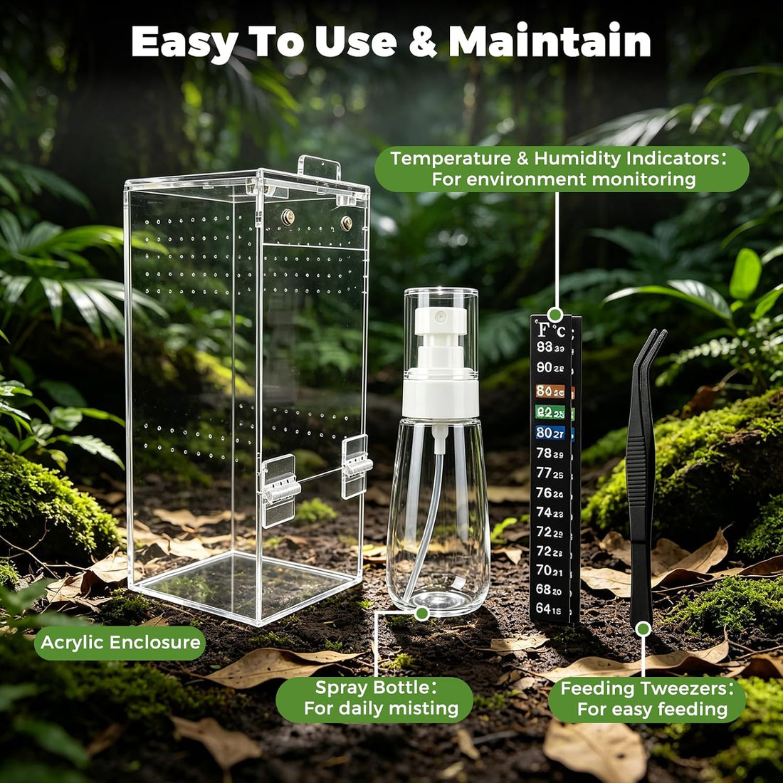 4"x4"x8" Acrylic Jumping Spider Enclosure Ready-to-Use No Assembly