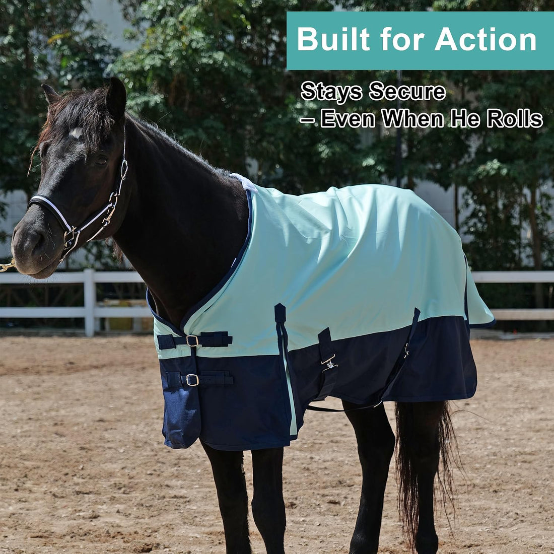 600D Horse Rain Sheet Turnout Blanket (No Fill) Ripstop 78 in