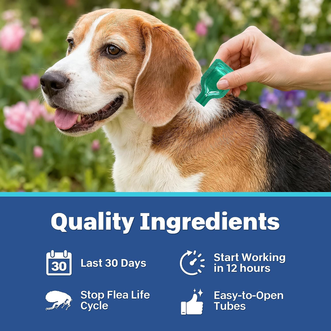 Topical Flea and Tick Care for Dogs