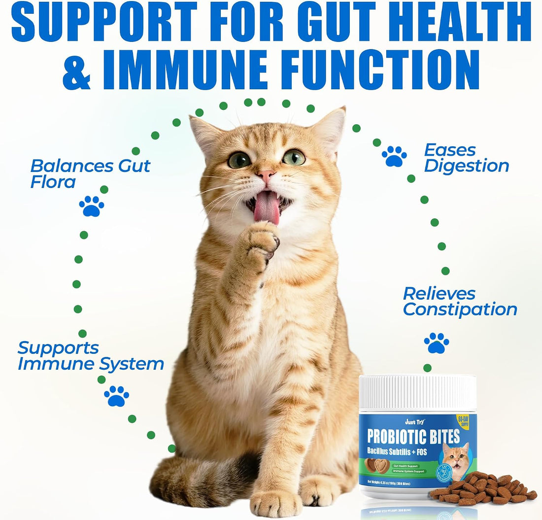 Just Try 300 Bites Cat Treats