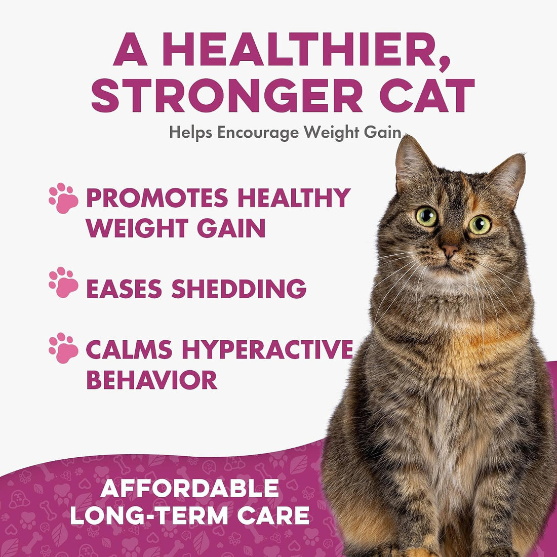 BestLife4Pets Cat Weight Gainer & Thyroid Support - 400 Pills