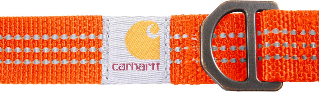 Carhartt Nylon Dog Collar Hunter Orange L