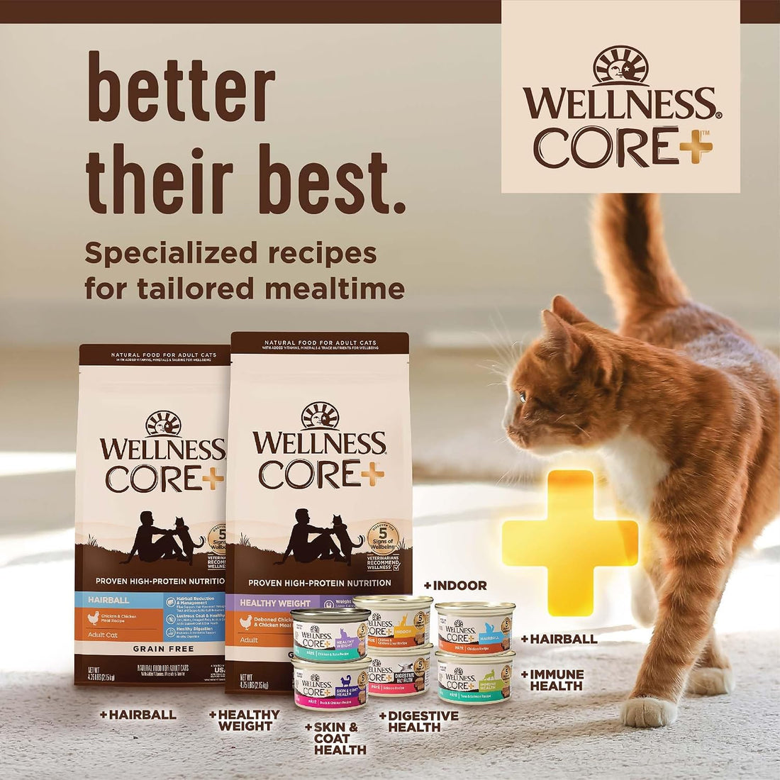 Wellness CORE+ Adult Dry Cat Food for Indoor Cats, Natural