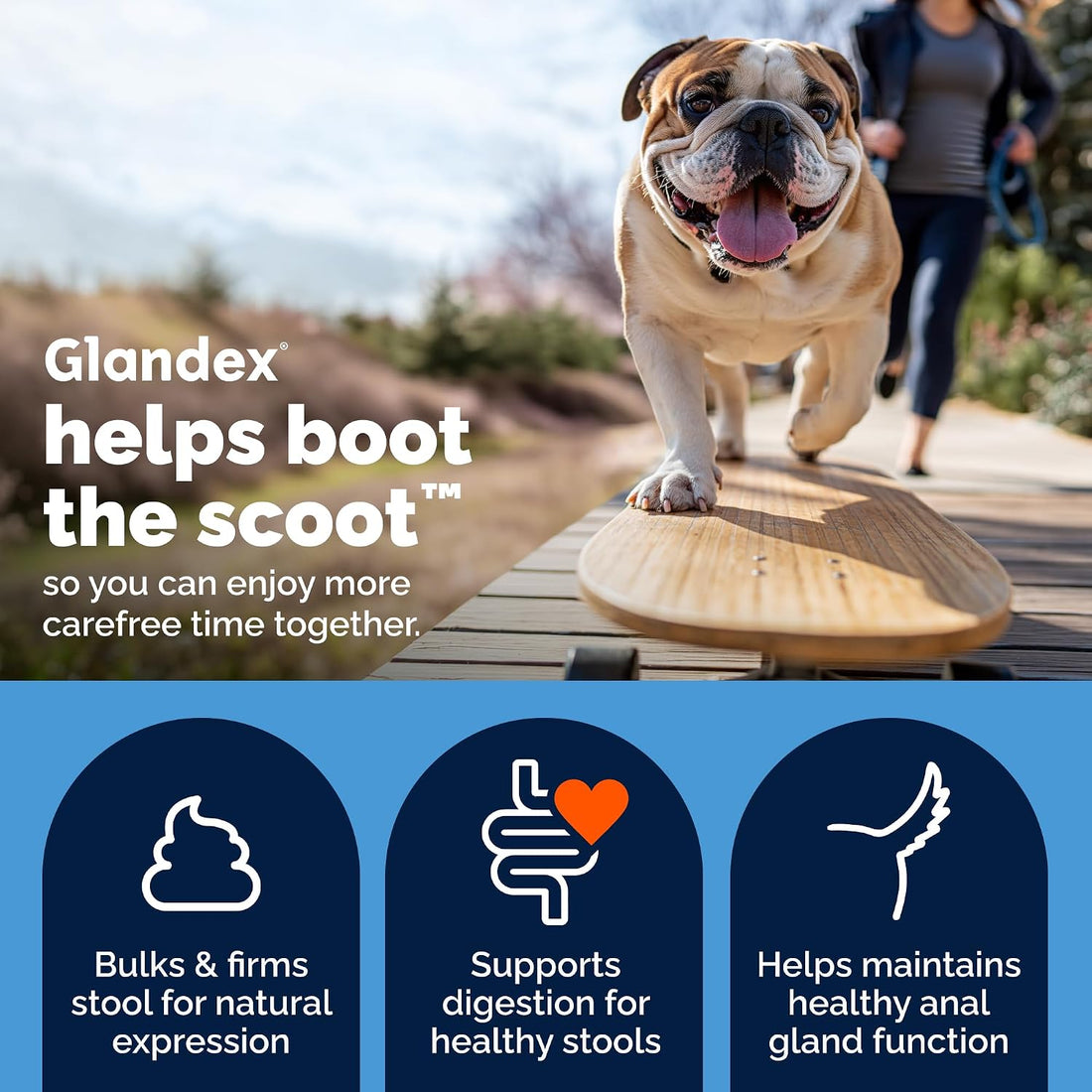 Vetnique Glandex for Dogs Anal Gland Powder