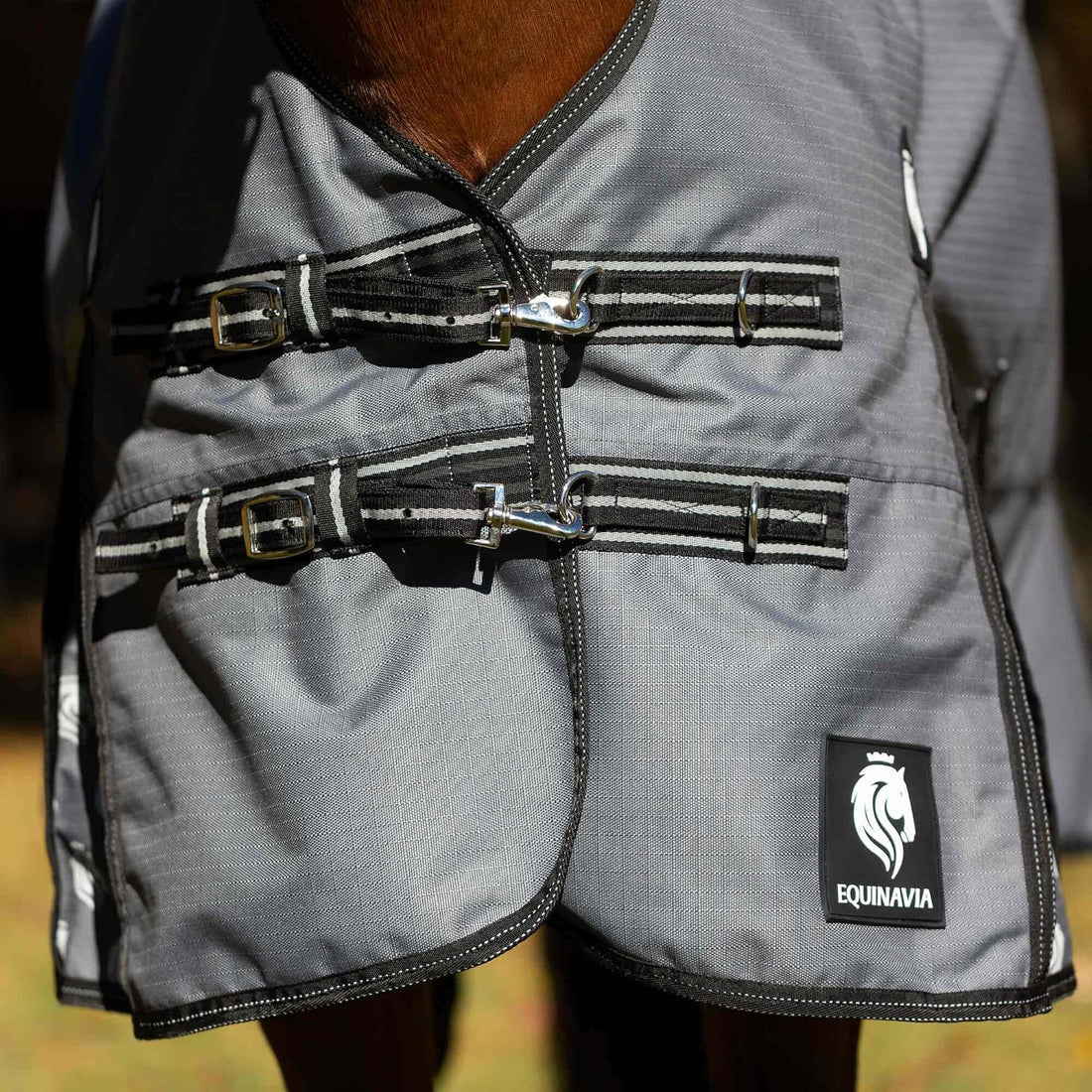 Equinavia Arktis Regular Neck Turnout Sheet - Carbon Gray - 78 in