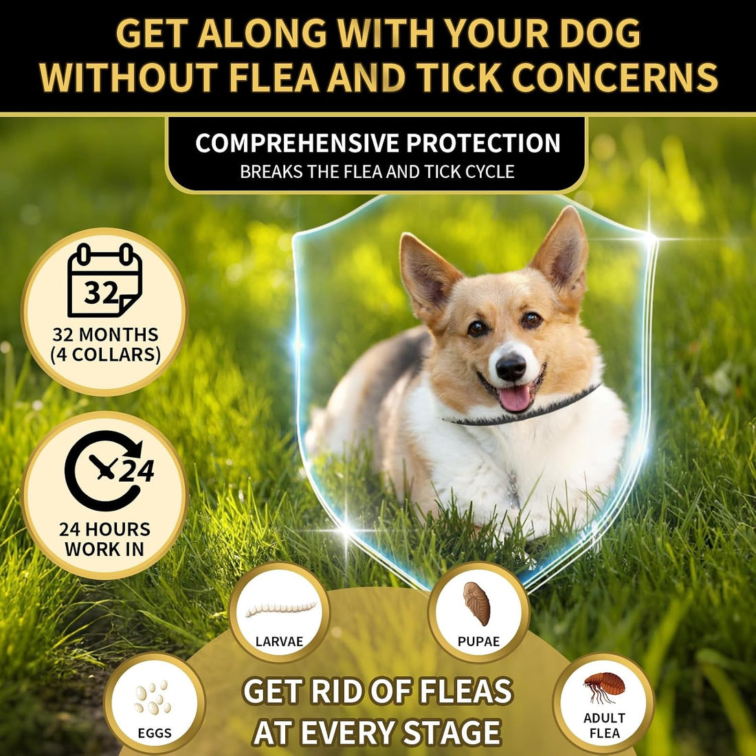 Lerqua Flea Collar for Dogs 4 Pack