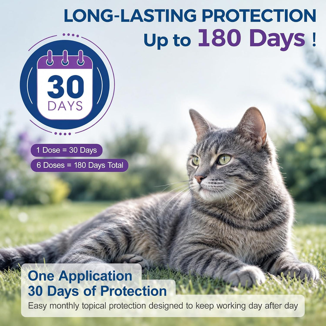 Topical Flea and Tick for Cats & Kitten Over 1.5 lbs and 8 Weeks