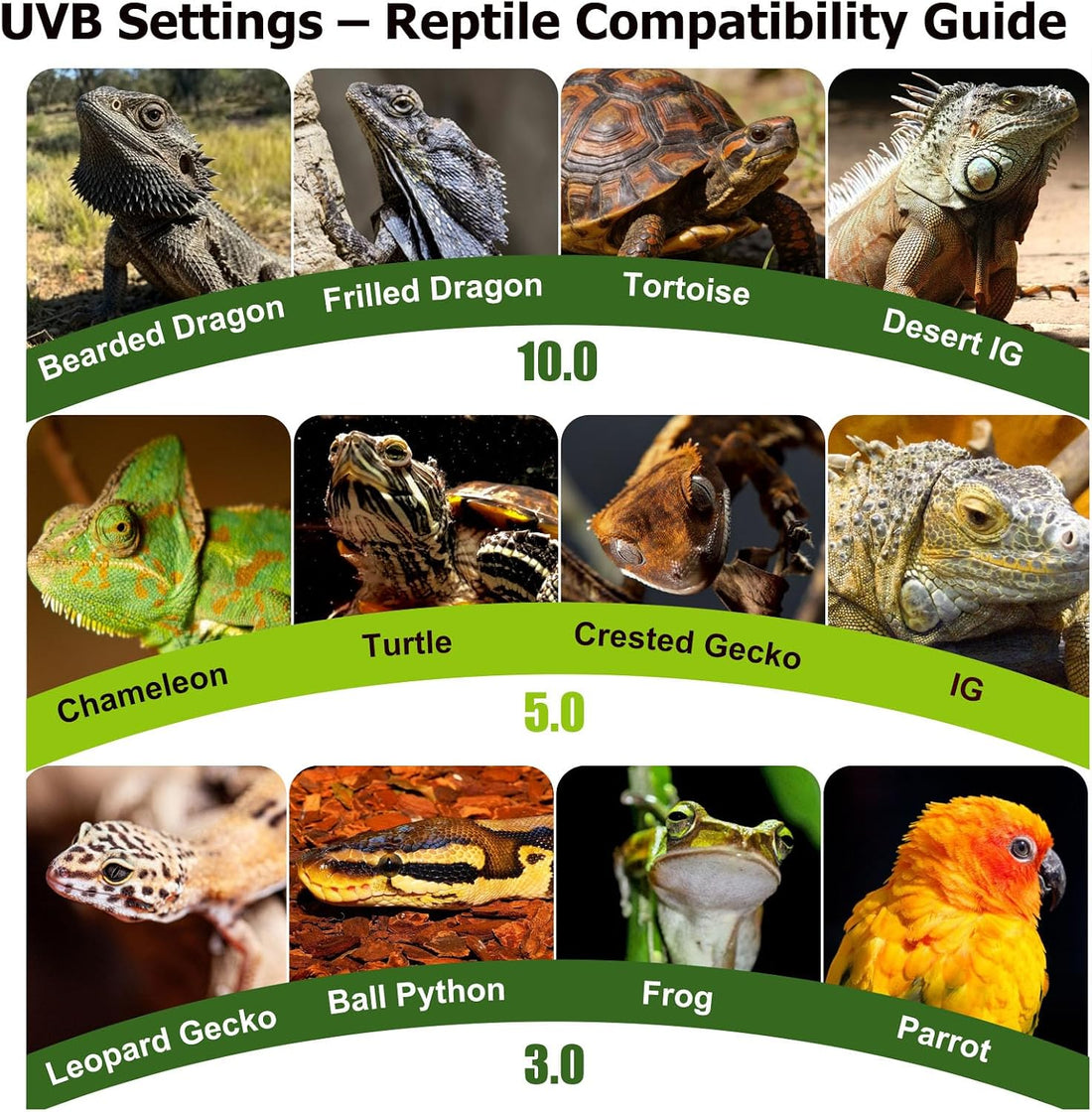 3-in-1 UVB Light for Reptiles One-Touch Sunrise & Sunset Mode 16"