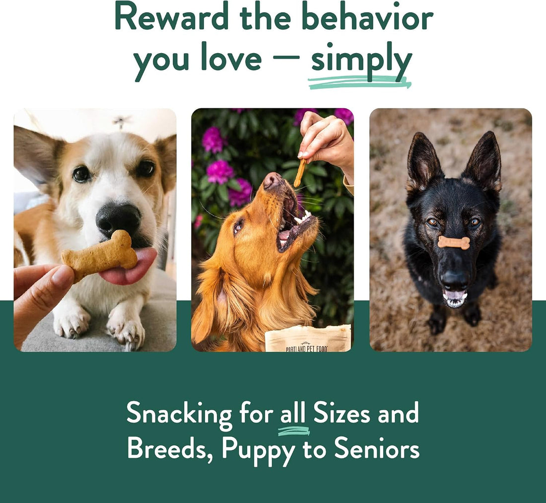 Portland Pet Food Company Pumpkin Dog Treats Healthy Biscuits