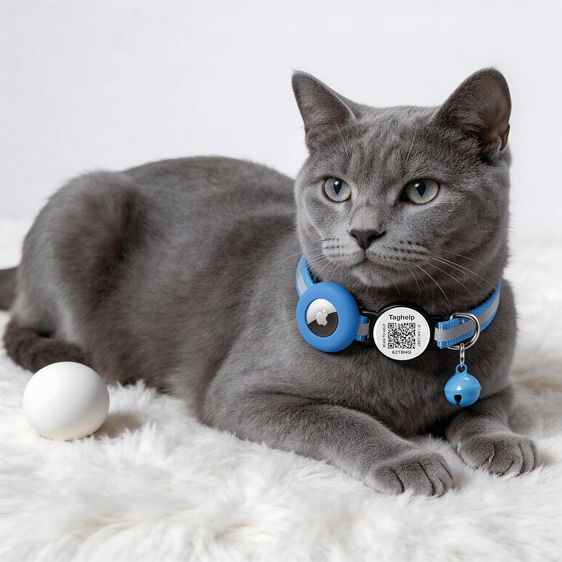 AirTag Holder Breakaway Cat Collar QR Code, Reflective Bell