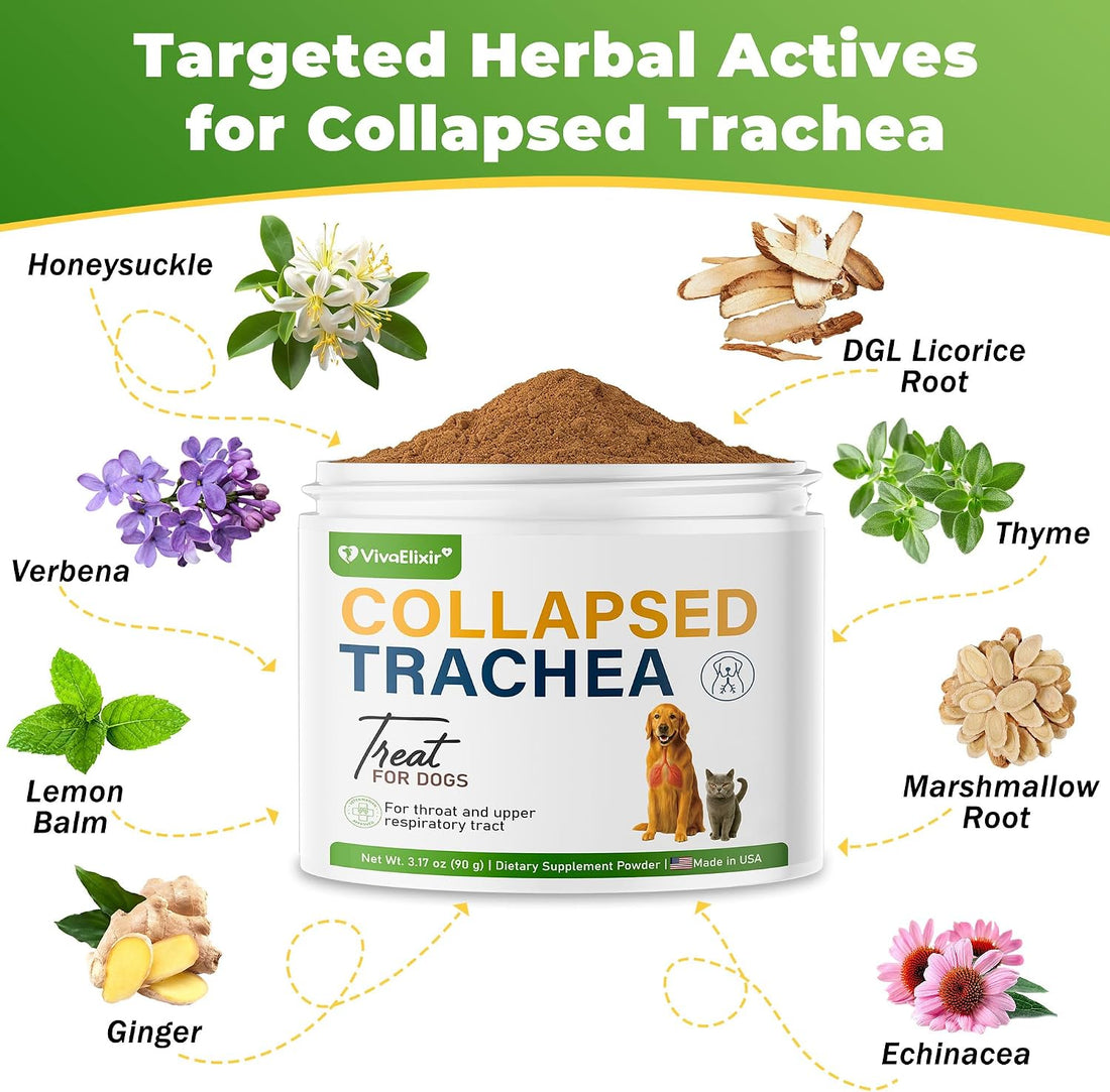 Dog Cough Powder–Relieves Cough, wheezing, tracheal Collapse
