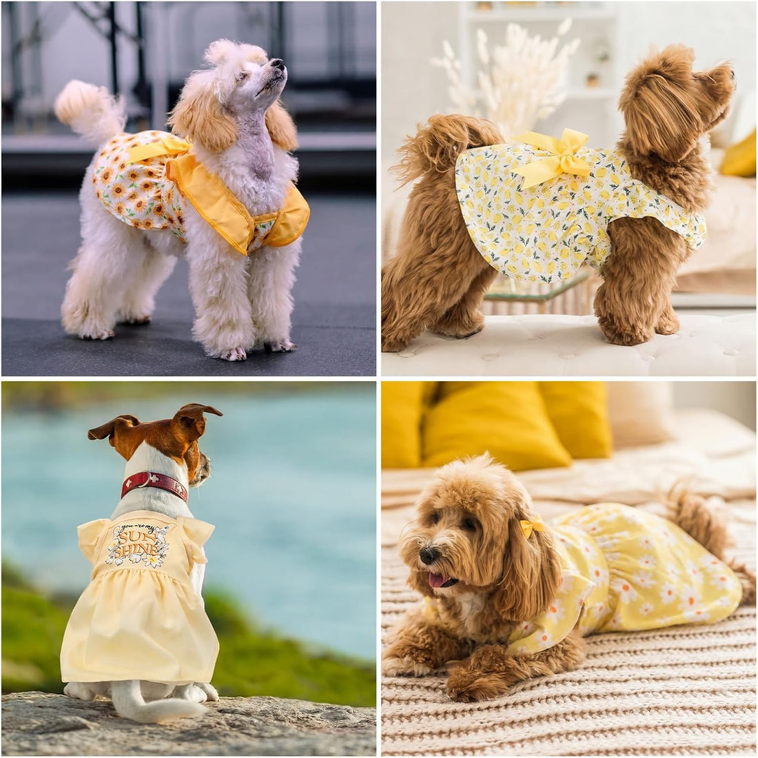 Abbylike 5 Pcs Dog Dress Floral Daisy Sunflowers Lemon Plaid Bowknot