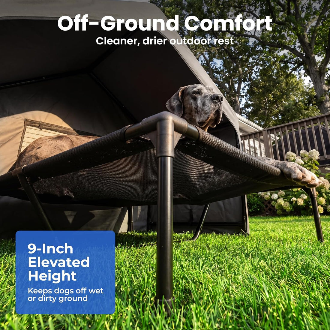 Zooba Extra Large Dog Shade with Elevated Bed