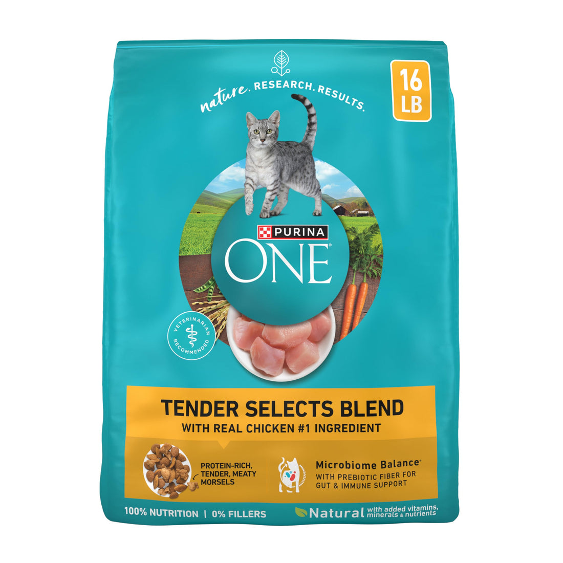 Purina ONE Natural Dry Cat Food
