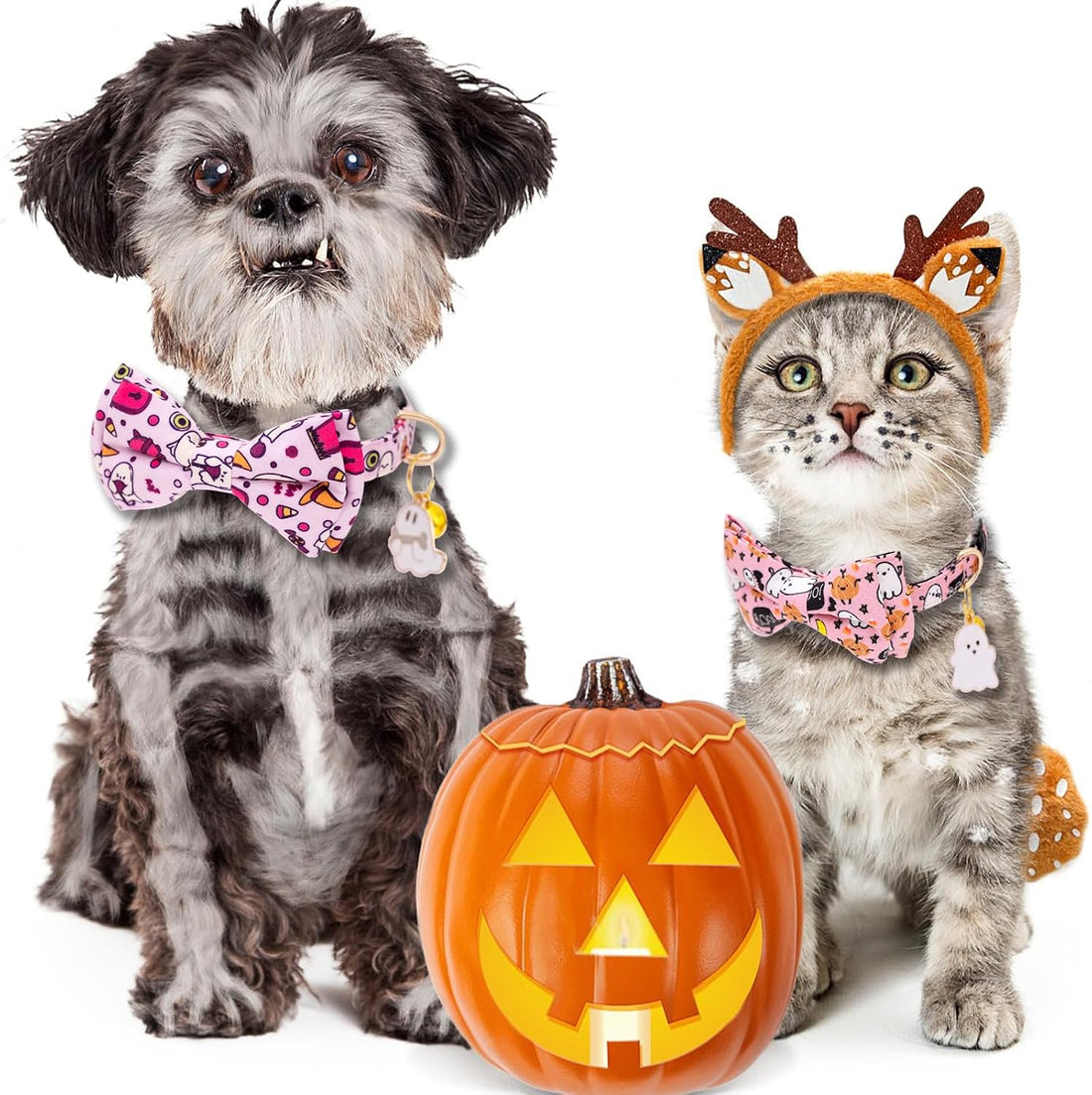 Faygarsle 2 Pack Breakaway Halloween Cat Collar Ghosts Pattern