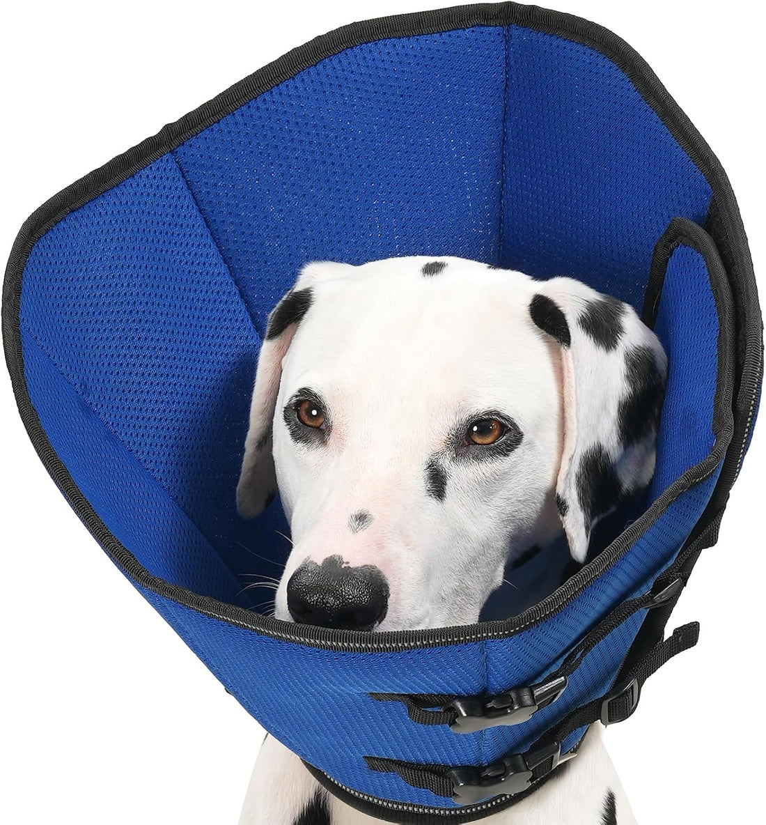 Avont Breathable Dog Cone Collar to Stop Licking