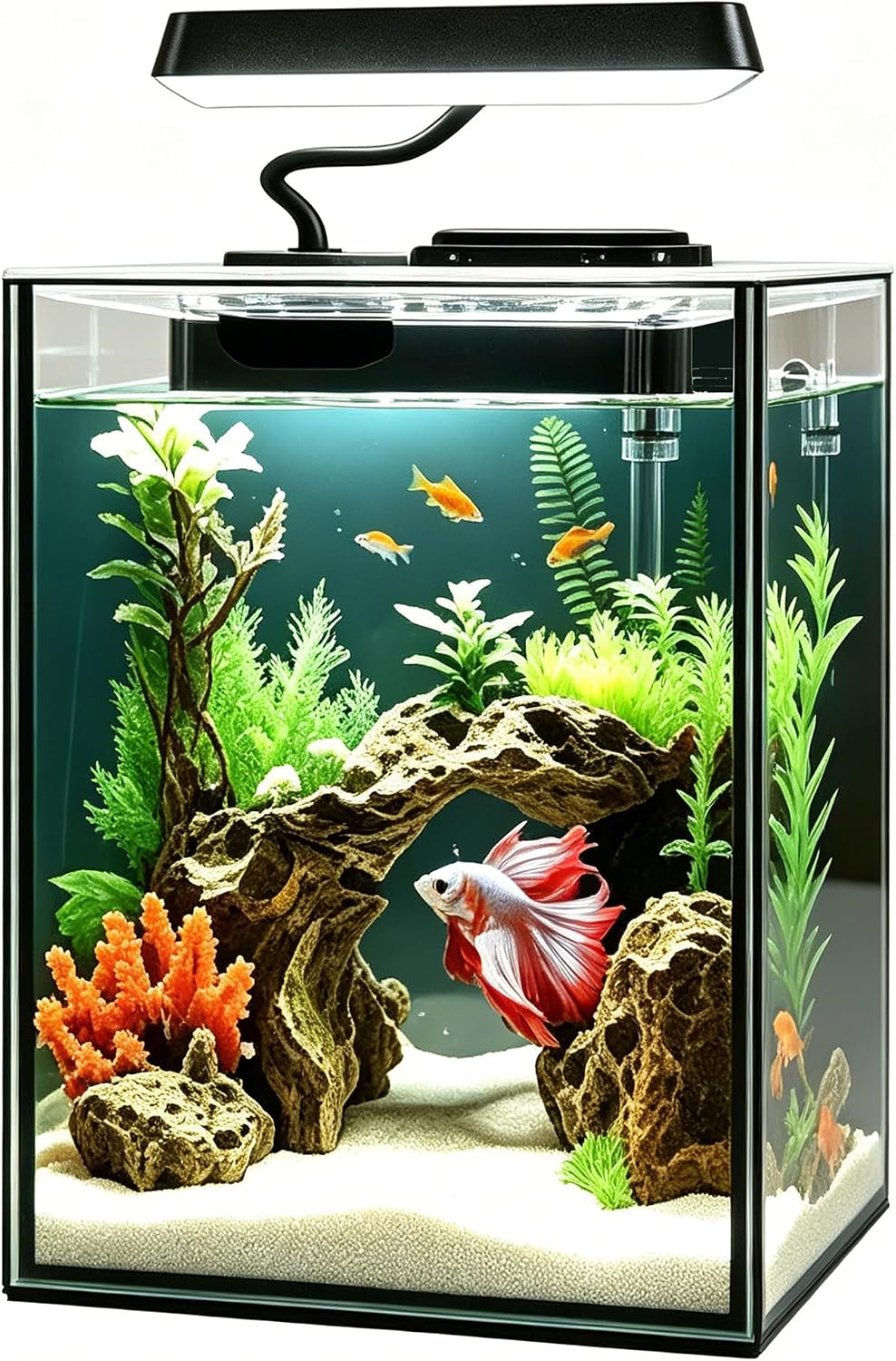 Glass Betta Aquarium Starter Kits 1.5 Gallon Small Fish Tank