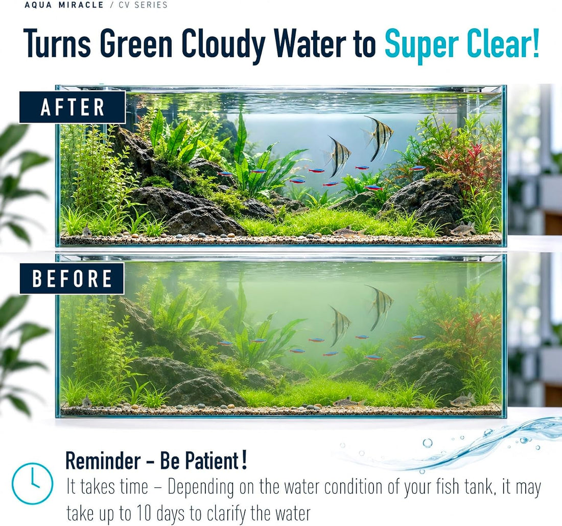AquaMiracle 8W In-line U - V Clarifier for Aquarium Green & Cloudy
