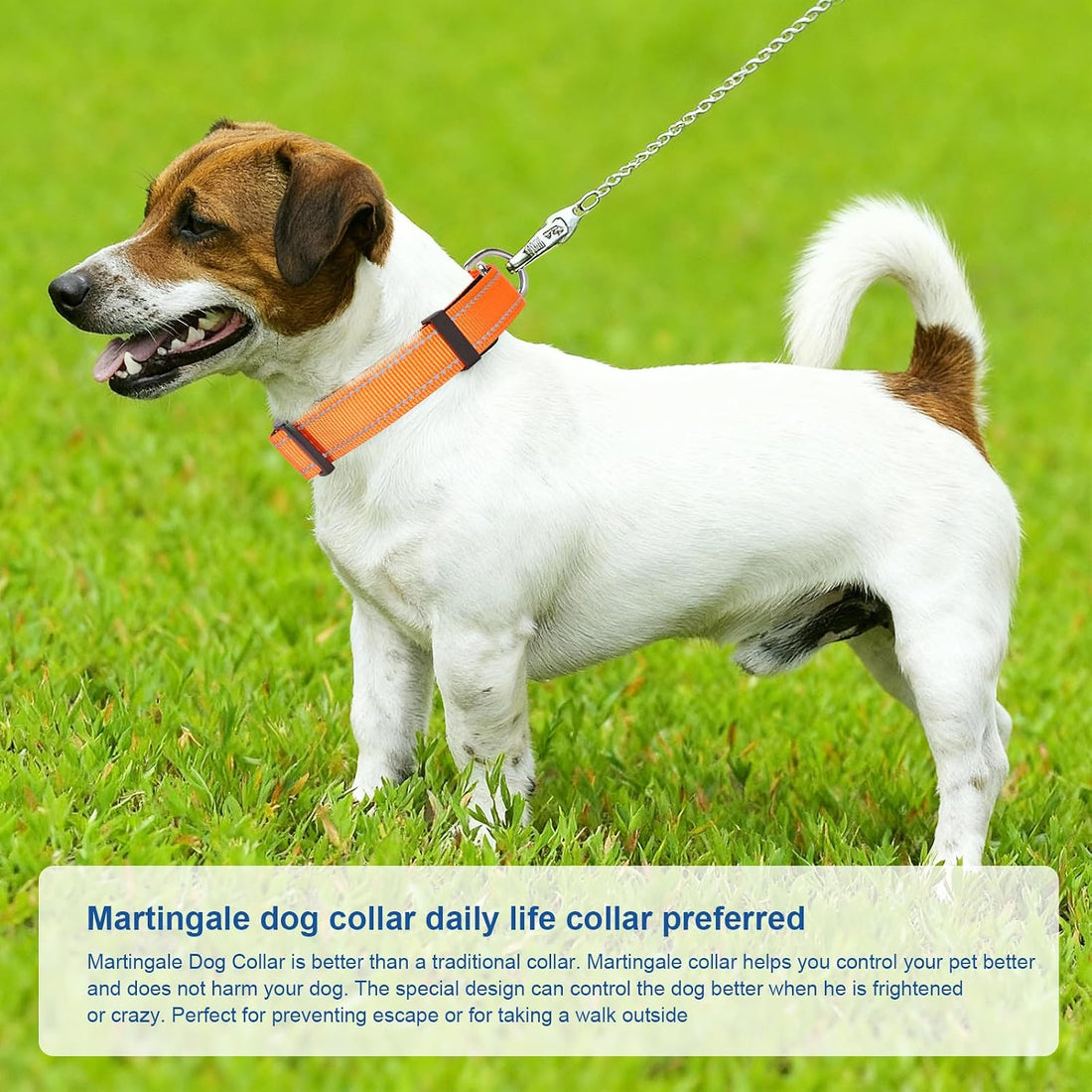 Reflective Martingale Dog Collars. Dog Collar with Quick Release