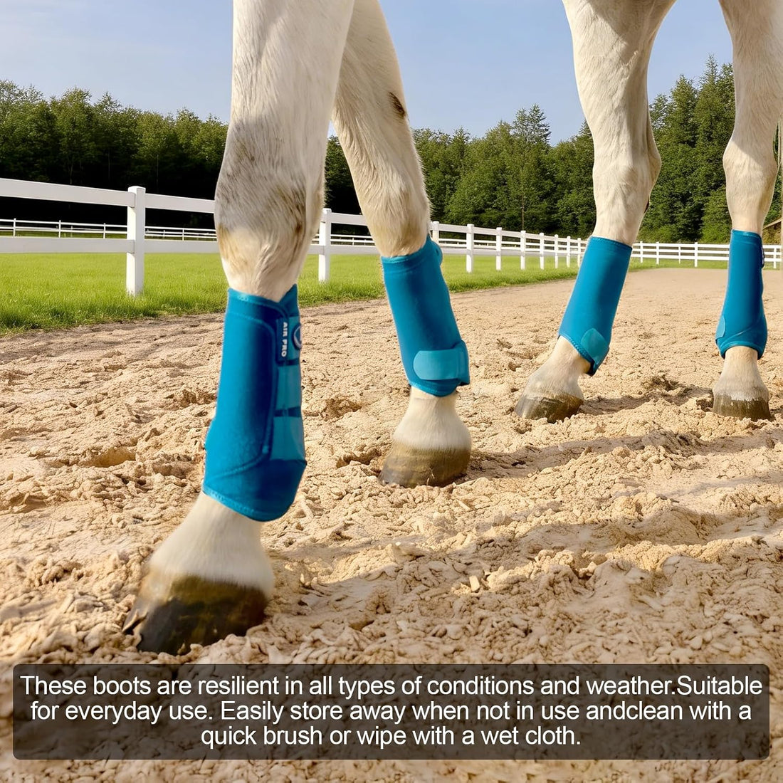 2 Pair Splint Boots for Horses Outdoor Sports(Pacific, Medium)