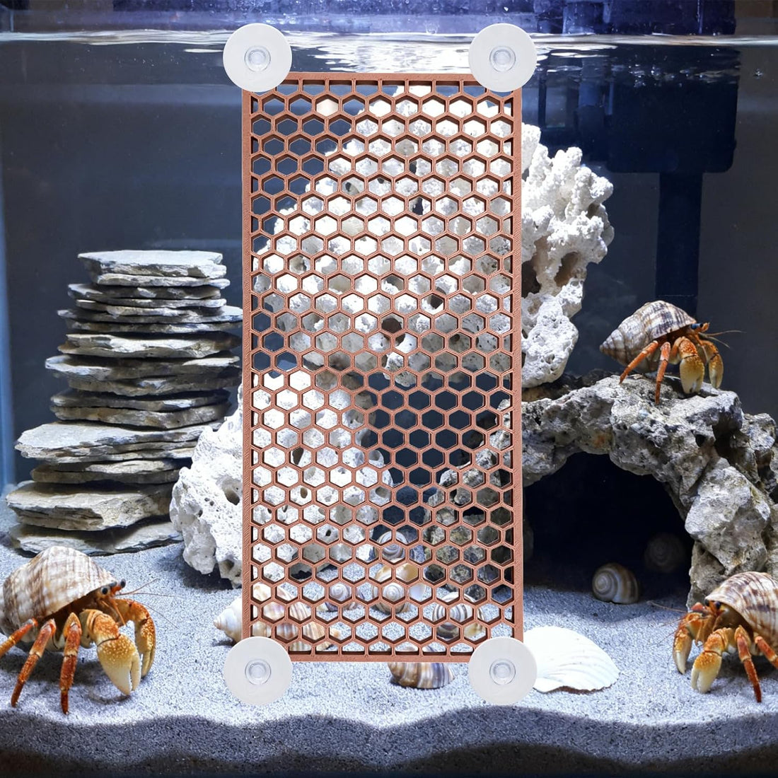 Hermit Crab Climbing Toy, Reptile Habitat Decor Exercise Playground