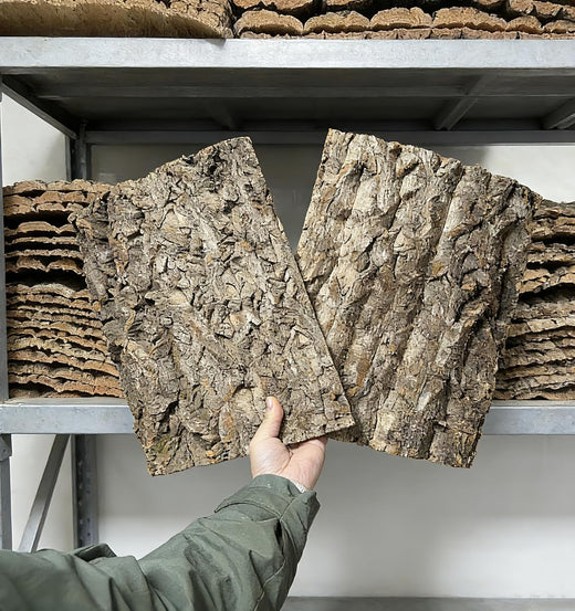 AWXZOM 2pcs Large Cork Bark Terrarium Background 15.7x11.9inch