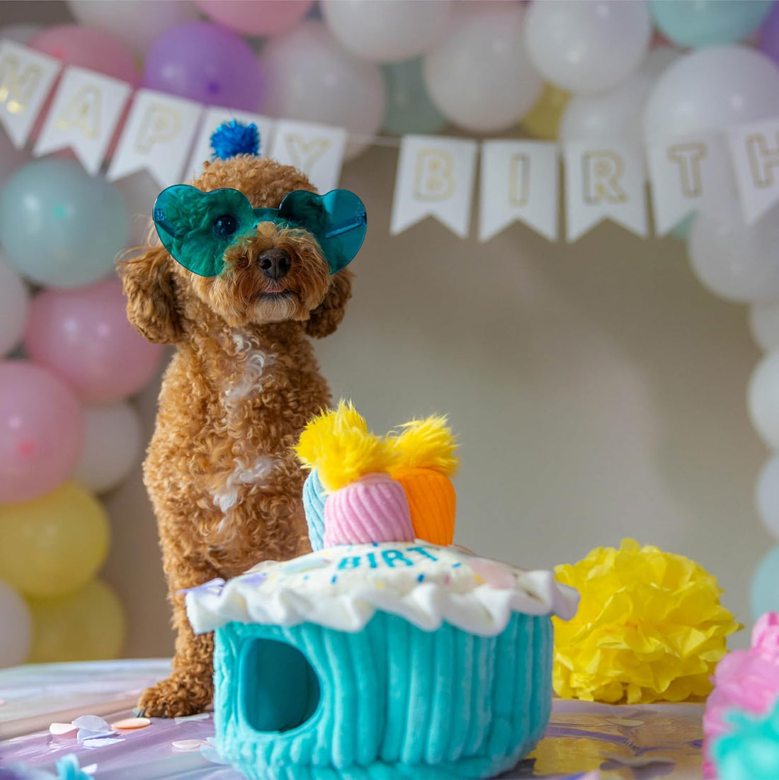 Outward Hound Hide-A-Birthday-Cake Dog Toy