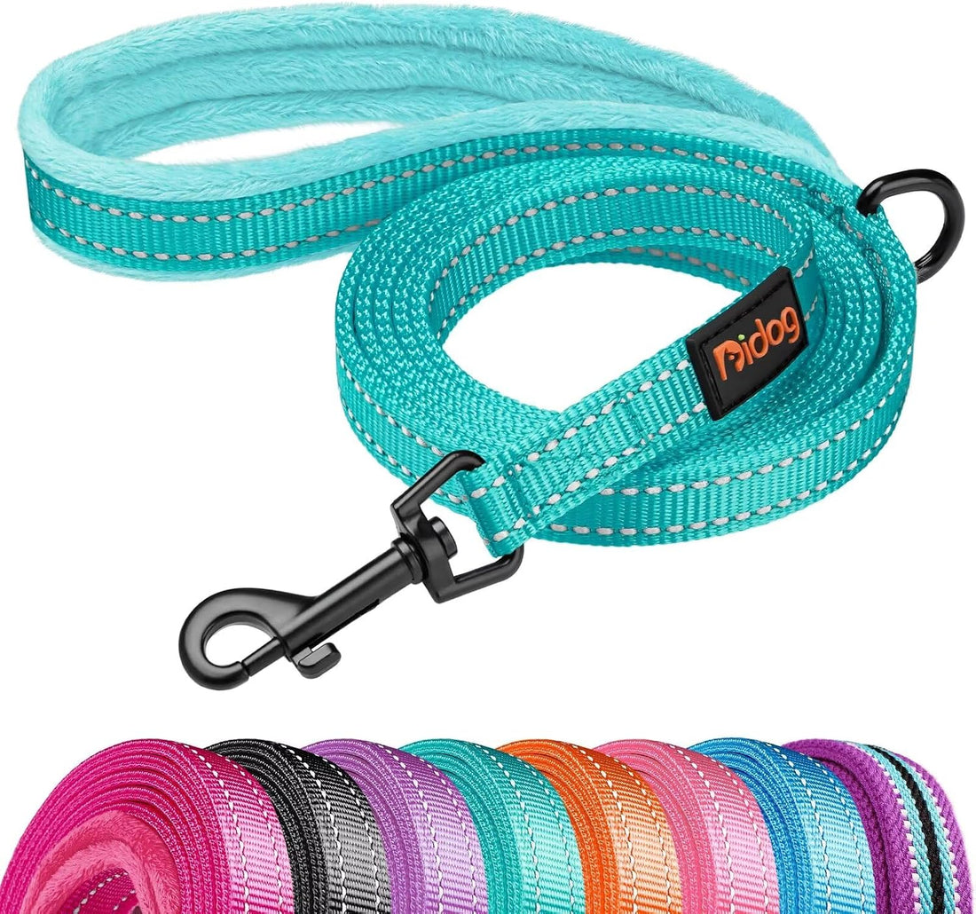 Didog 6FT Reflective Dog Leash for Small Medium Dogs, Slim 5/8" Width