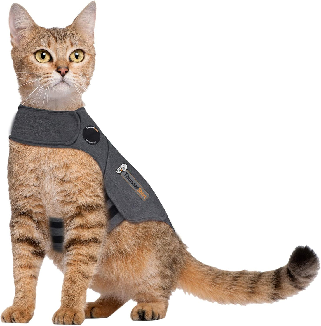 Thundershirt Classic Cat Anxiety Jacket, Heather Gray, Medium, THU-009
