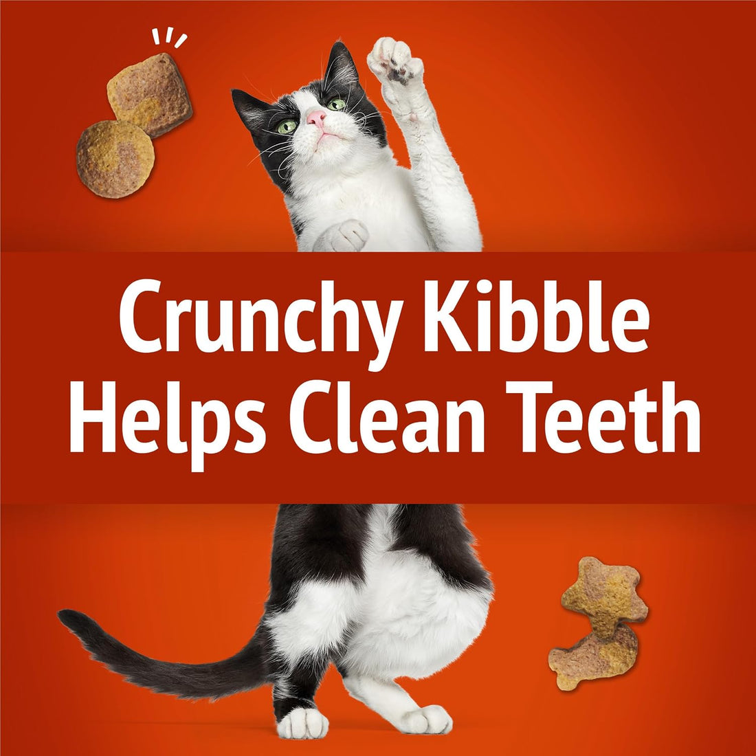 Purina Friskies Party Mix Gravy-Licious Crunch Chicken and Gravy