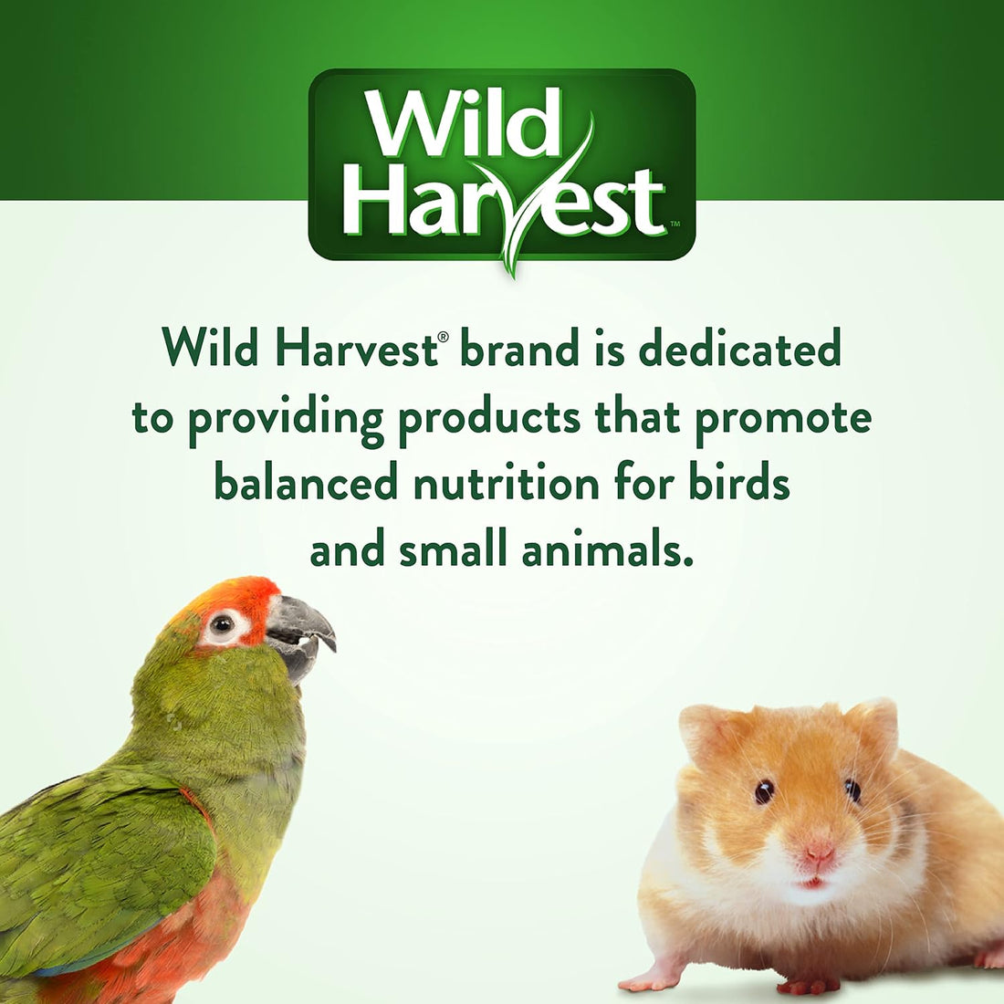 Wild Harvest Fruit Kabobs Bird Treat, 6 Count
