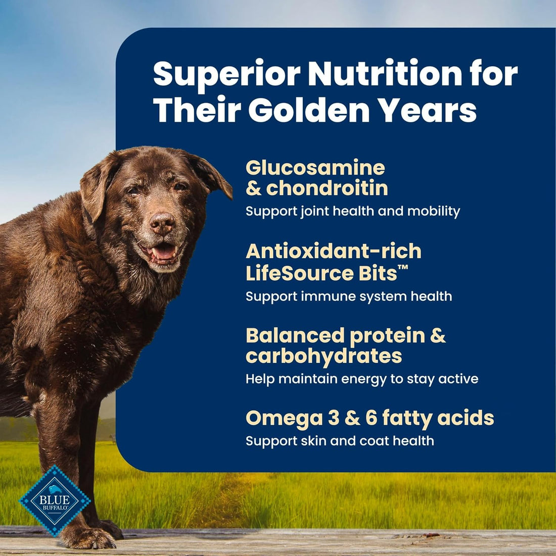 Blue Buffalo Life Protection Formula Chicken & Brown Rice Senior Dry