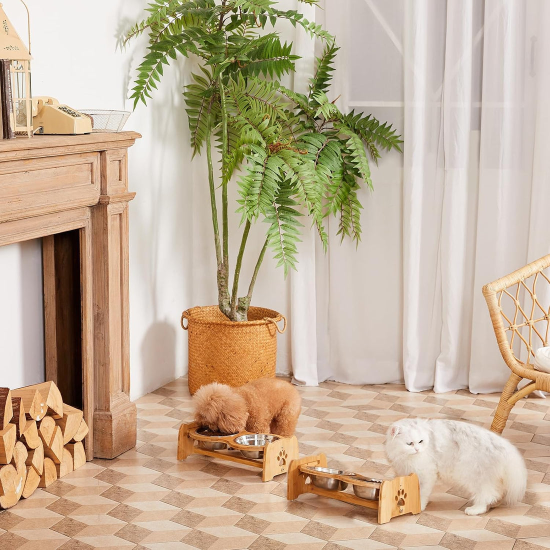 X-ZONE PET Elevated Dog Bowls for Cats and Dogs