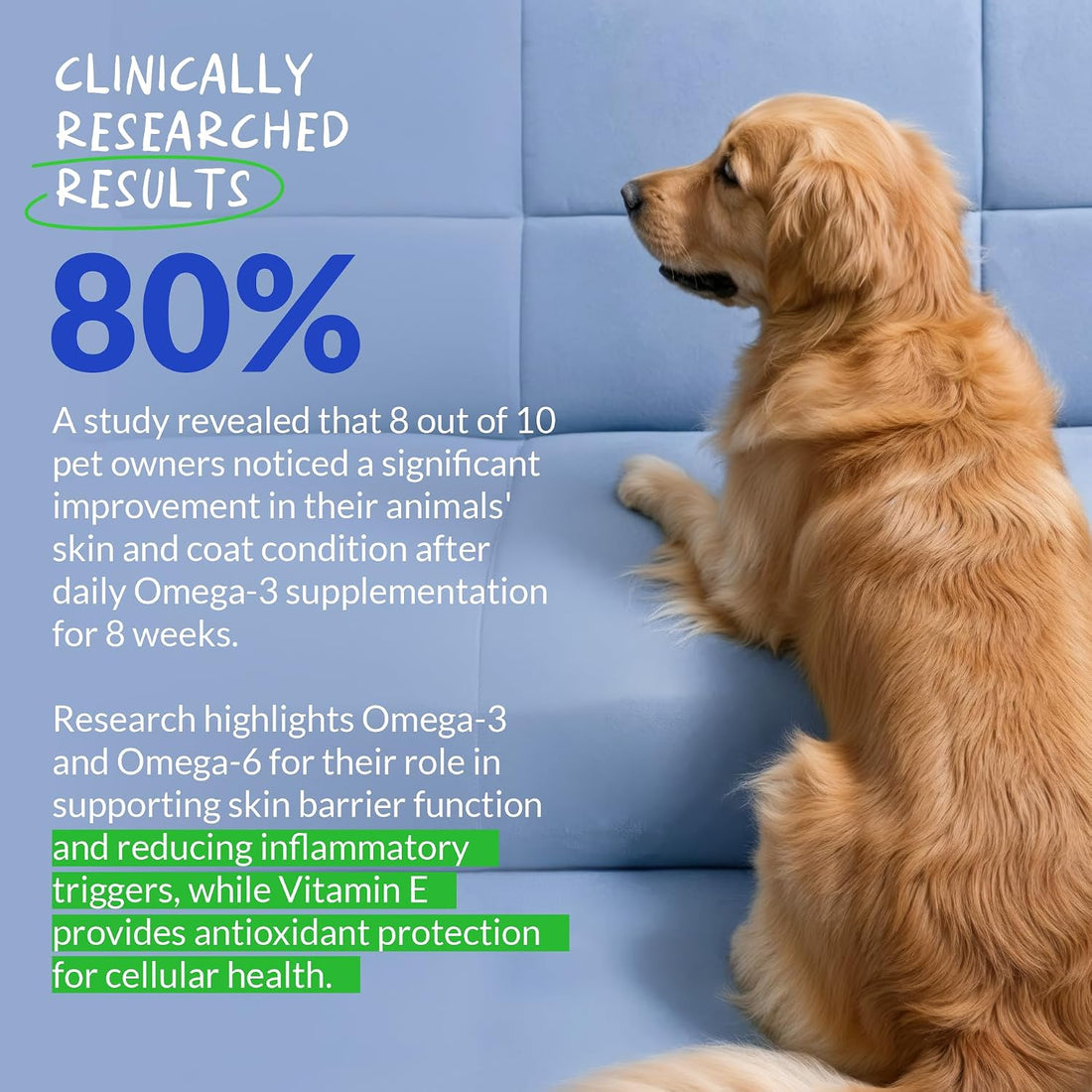 Omega 3 Fish Oil for Dogs - 120 Chewable Tablets - with Omega 3, 6