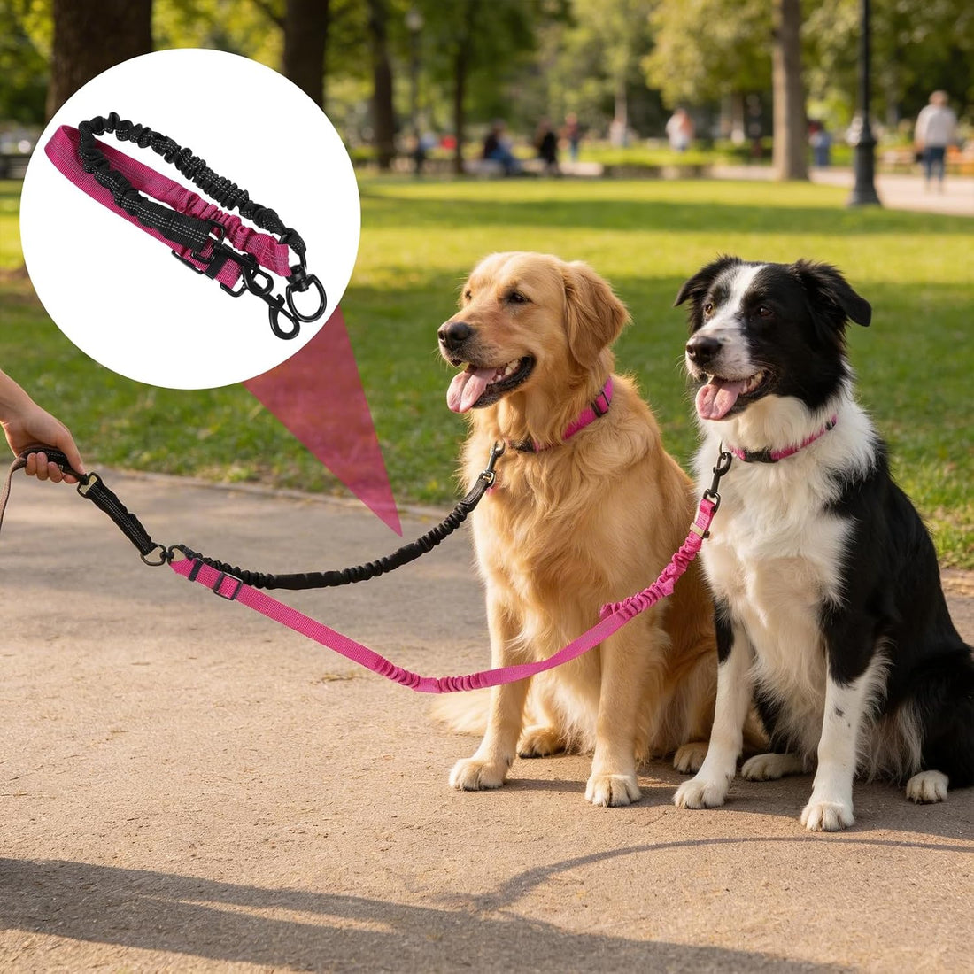 Double Dog Leash, 360° Swivel No Tangle Dual Lead for Two Size Dog