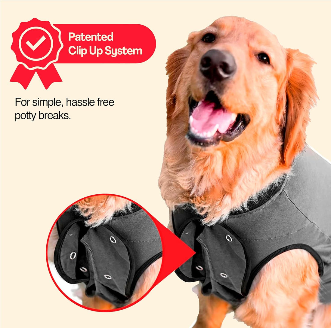 BellyGuard Dog Surgery Recovery Suit, Dog Onesie for Post-Op Care