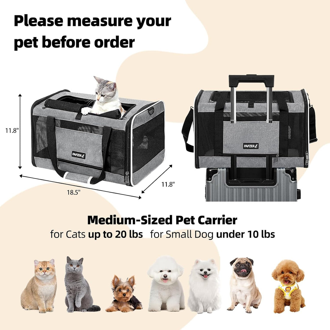 Cat Carrier Soft-Sided Travel Bag for Medium to Large Cat Over 15lbs
