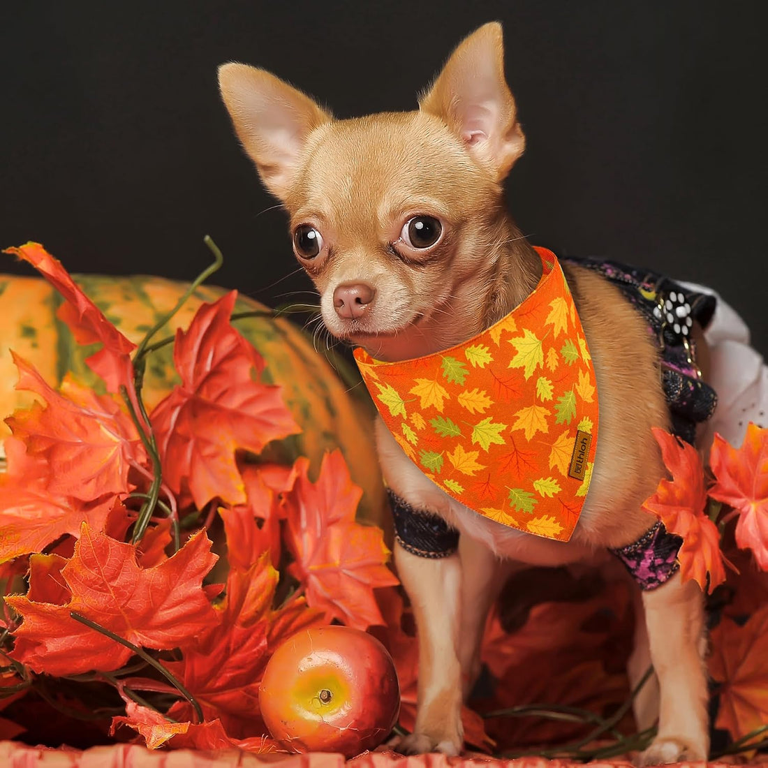 Fall Dog Bandanas - 2 Pack Thanksgiving Dog Bandana with Snap Button
