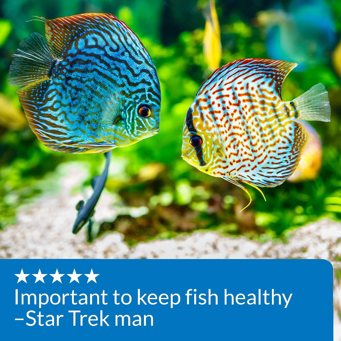 API pH UP Freshwater Aquarium Water pH Raising Solution