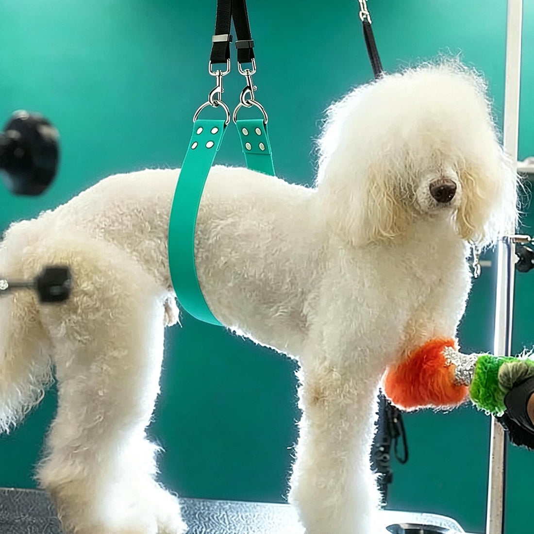 Dog Grooming Belly Band - Pet Grooming Belly Straps Groomer Belly