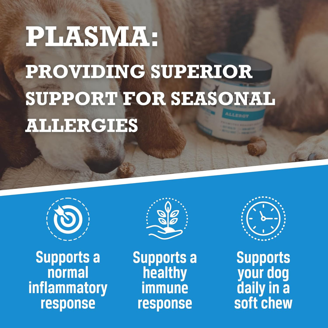 WINPRO Allergy Chews – Plasma-Powered Formula for Dog Seasonal