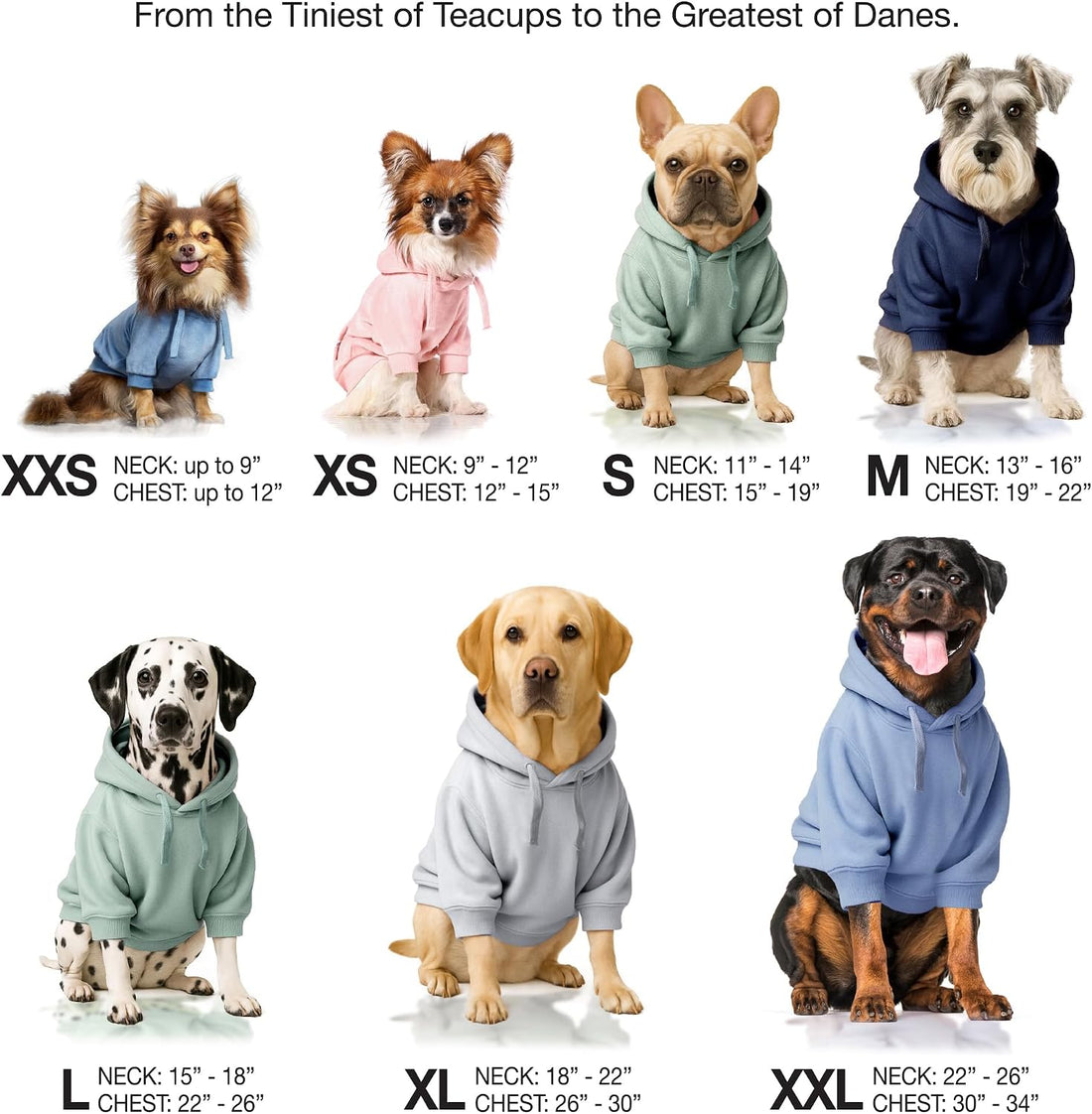 Pet Passion Cooper II Dog Hoodie, Sage, Large