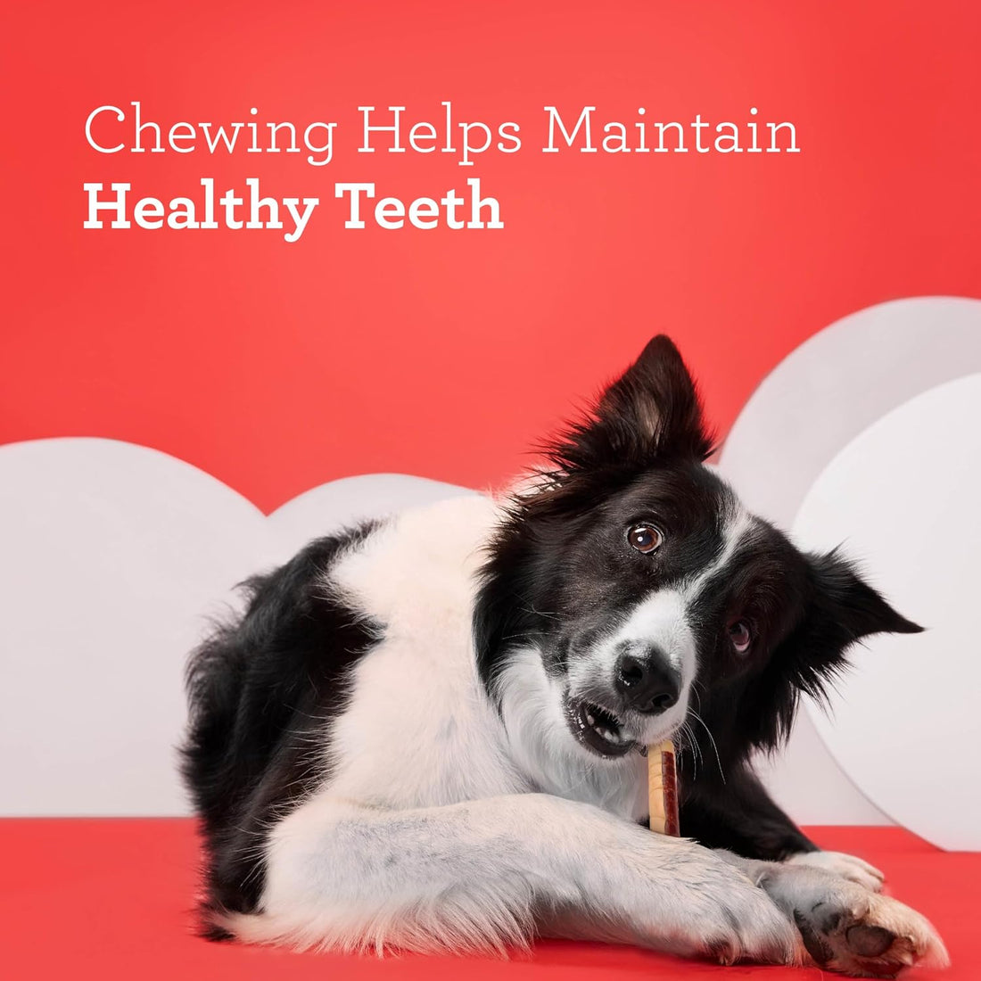 DreamBone DreamSticks With Real Chicken Chews For Dogs, 15 Count