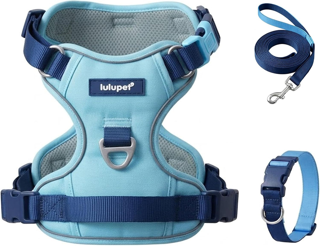 Dog Harness and Leash Set with Collar