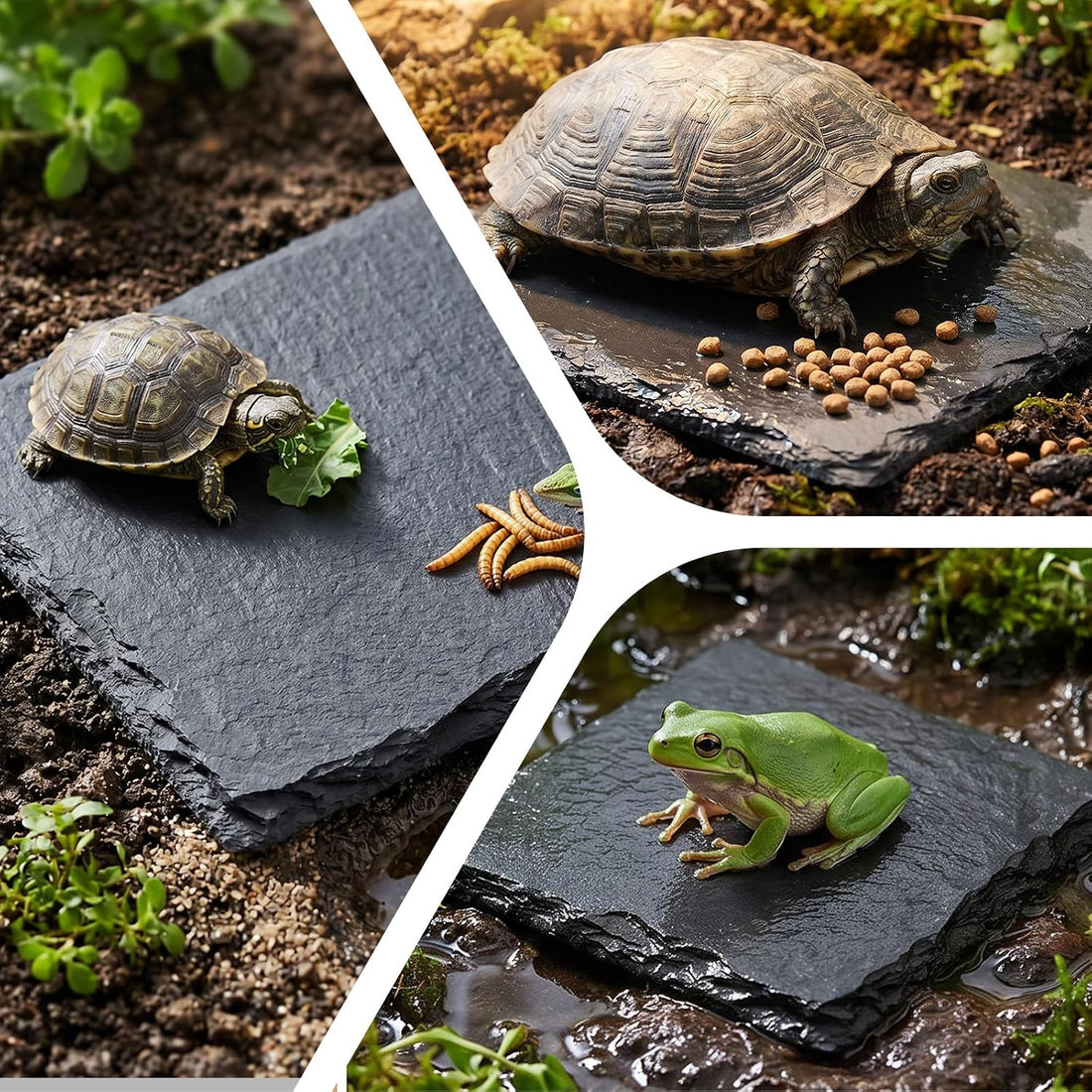 Yuanchu Reptile Basking Platform, Slate Tortoise Rock Plate