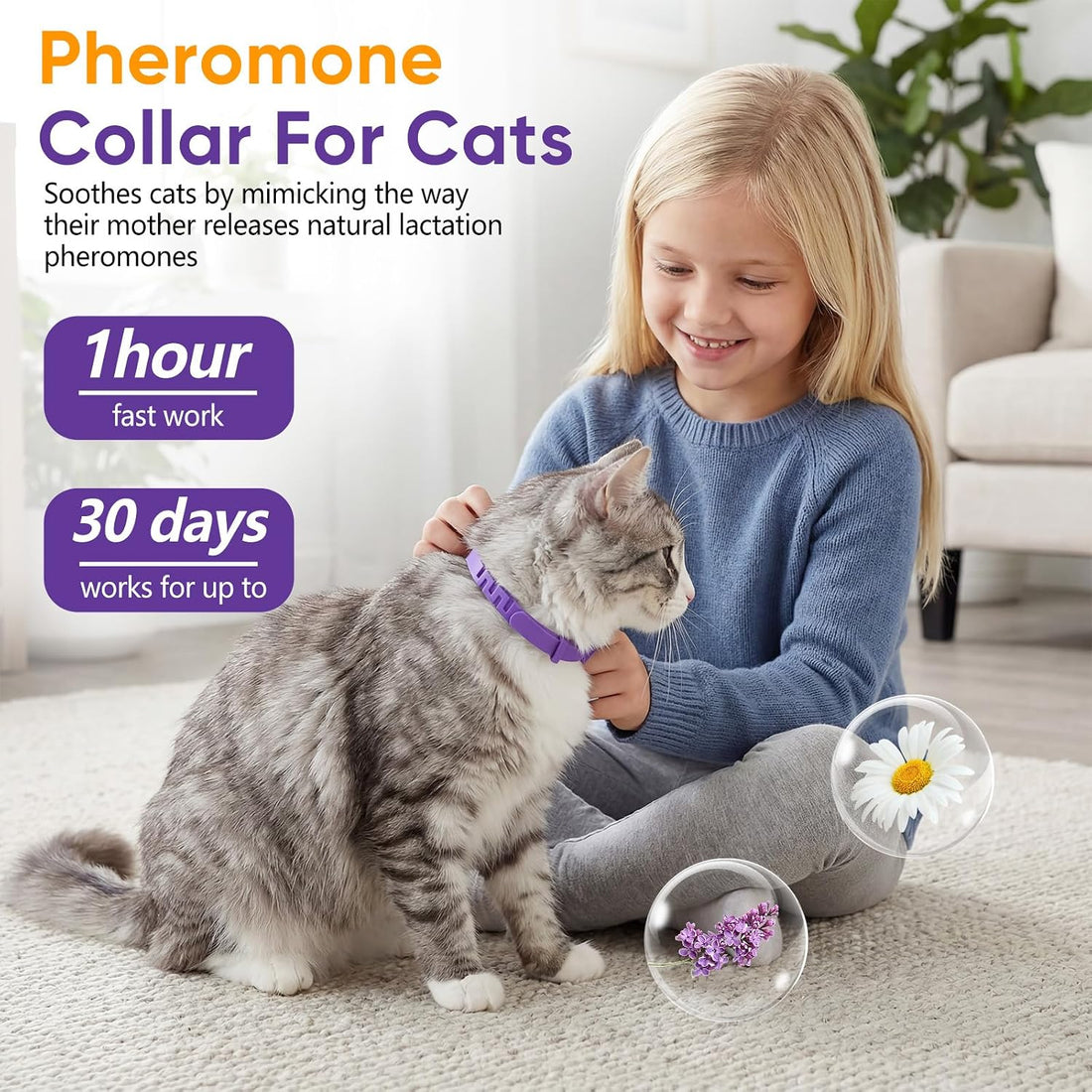 Cat Calming Collars for Cats 6 Pack
