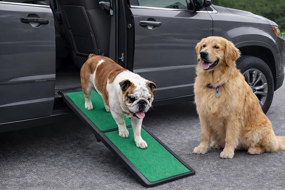 Pet Gear SupertraX Ramps for Dogs and Cats