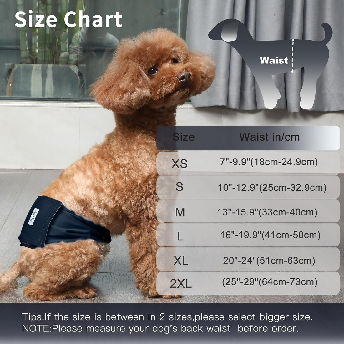 JoyDaog 5 Pack Washable Male Dog Diapers,Reusable Small Dog Belly