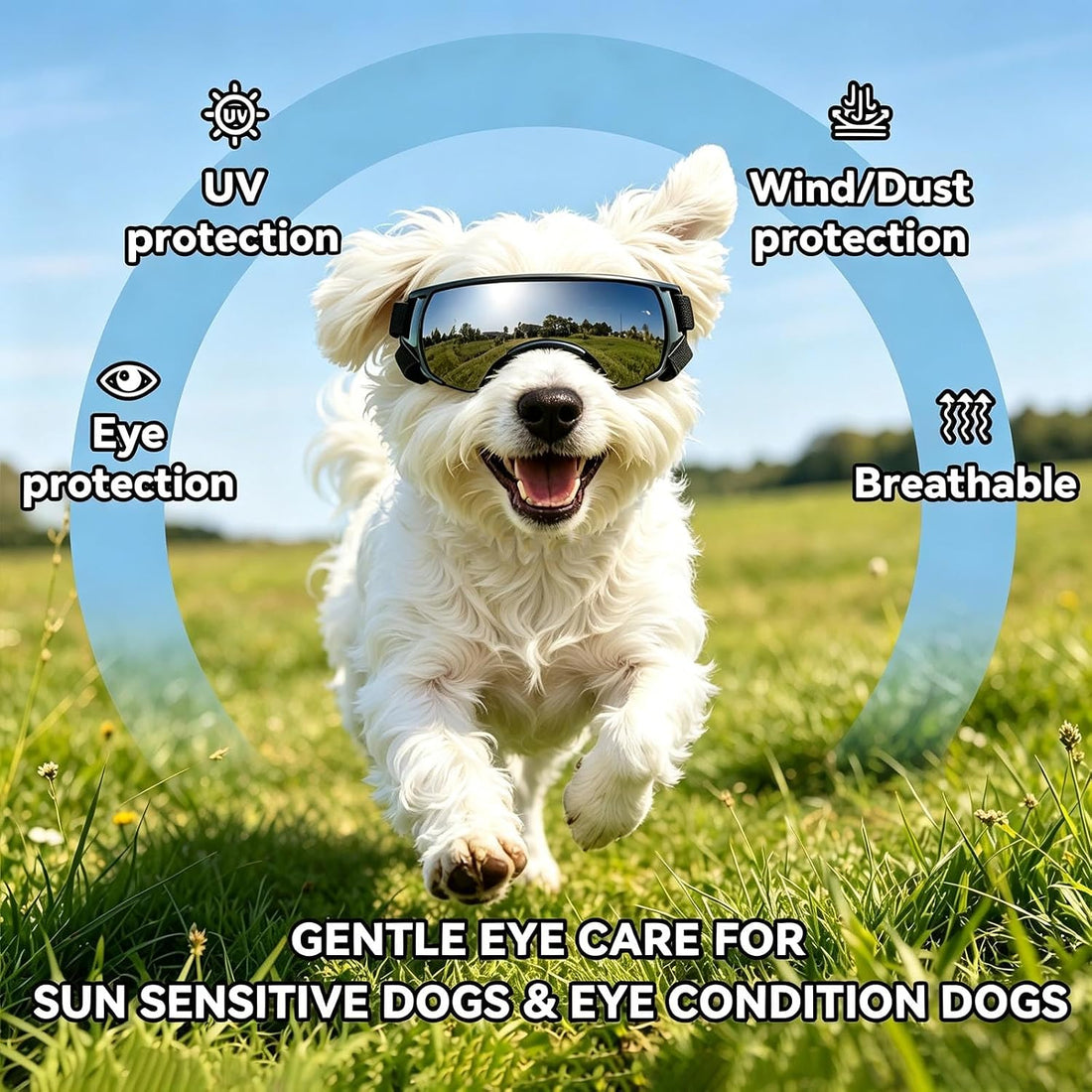 Dog Goggles for Small Dog Doggy Goggles with Adjustable Straps